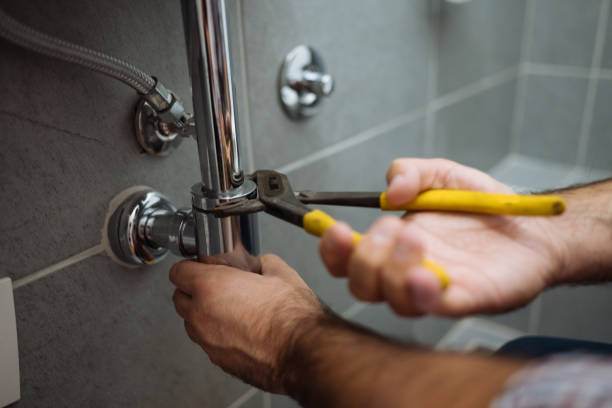 Best Local Plumber Services  in Burnham, PA